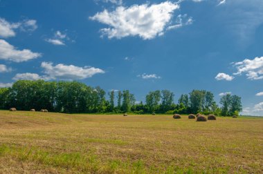 Yaz manzarası, saman yapım, saman tarlaları kocaman, yuvarlak saman balyaları. Bu çok daha az insan stresi ile büyük miktarda saman depolamak için kompakt bir yoldur..