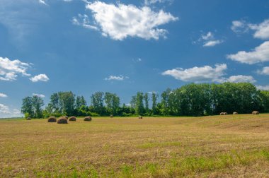 Yaz manzarası, saman yapım, saman tarlaları kocaman, yuvarlak saman balyaları. Bu çok daha az insan stresi ile büyük miktarda saman depolamak için kompakt bir yoldur..