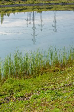 Teknolojik manzara, yüksek voltajlı elektrik hatları. Buradaki doğal kompleks bitkilerin varoluş süresi boyunca yoğun bir teknojenik etkiye maruz kalmıştır.