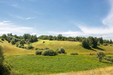 Yaz manzarası, vadi, çim filizi, karışık otlar. Çam ağaçları ve huş ağacı