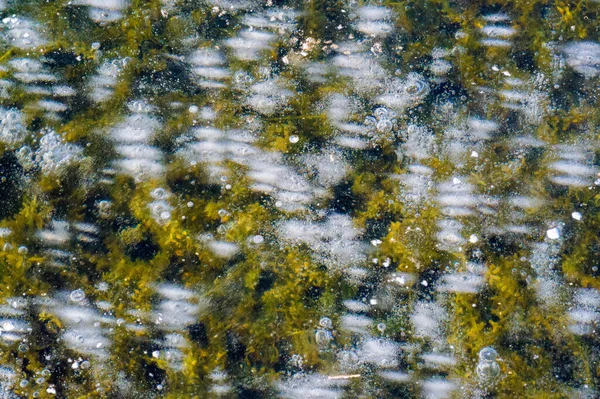 Texturmuster Hintergrund Weiß Winter Fluss Eis Luftblasen Stagnieren Bildete Sich — Stockfoto