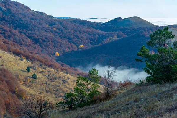 Kırım Yarımadasının Sonbahar Fotoğrafları Bulutların Üstündeki Dağlarda Kayın Çam Boynuz — Stok fotoğraf