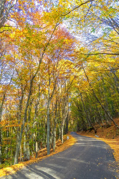 クリミア半島の秋の写真 旧高速道路 古い道路の気分の魅力 — ストック写真