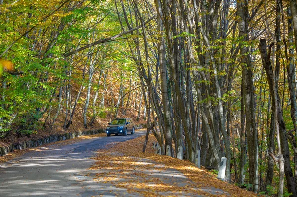 Autumn photos of the Crimean peninsula, Old highway, The charm of the mood of the old road,