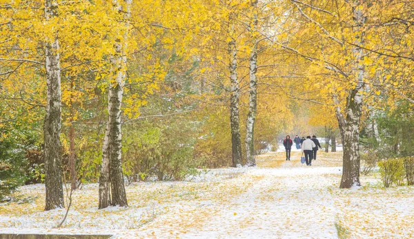 Fick Vår Första Snö Natten Dammande Hösten Med Socker Vintern — Stockfoto