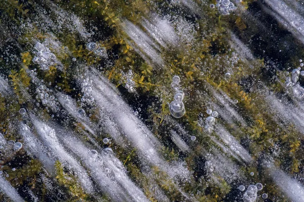 Texturmuster Hintergrund Weiß Winter Fluss Eis Luftblasen Stagnieren Bildete Sich — Stockfoto