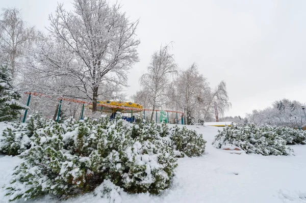 Zimowe Zdjęcie Zostało Zrobione Szerokokątnym Obiektywem Pierwszym Śniegiem Parku Miejskim — Zdjęcie stockowe