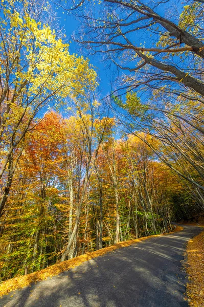 Automne Photos Péninsule Crimée Vieille Autoroute Charme Humeur Vieille Route Images De Stock Libres De Droits