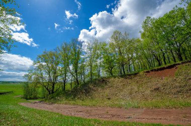 İlkbahar fotoğrafçılığı, tarlalar, çayırlar, ilkbahar güzelliği vadilerin, beyaz kabarık bulutların içindeki muhteşem mavi gökyüzü, dünya kış soğuğundan sonra uyanıyor.