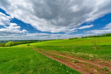 Bahar fotoğrafçılığı, yerel yol, yeşil bir tarlada mısır fideleri, yiyecek için kullanılan tahıllar, örneğin buğday, yulaf veya mısır. Beyaz kabarık bulutlarda mavi gökyüzü