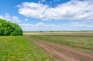 İlkbahar fotoğrafçılığı, tarlalar, çayırlar, ilkbahar güzelliği vadilerin, beyaz kabarık bulutların içindeki muhteşem mavi gökyüzü, dünya kış soğuğundan sonra uyanıyor.