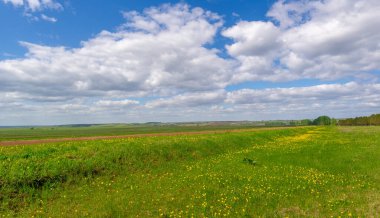 İlkbahar fotoğrafçılığı, tarlalar, çayırlar, ilkbahar güzelliği vadilerin, beyaz kabarık bulutların içindeki muhteşem mavi gökyüzü, dünya kış soğuğundan sonra uyanıyor.