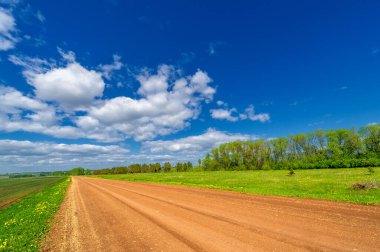 Bahar fotoğrafçılığı, yerel yol, yeşil bir tarlada mısır fideleri, yiyecek için kullanılan tahıllar, örneğin buğday, yulaf veya mısır. Beyaz kabarık bulutlarda mavi gökyüzü