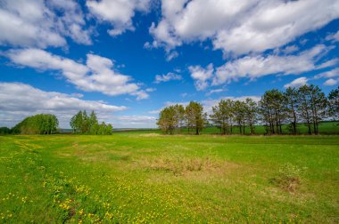 İlkbahar fotoğrafçılığı, tarlalar, çayırlar, ilkbahar güzelliği vadilerin, beyaz kabarık bulutların içindeki muhteşem mavi gökyüzü, dünya kış soğuğundan sonra uyanıyor.
