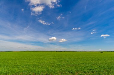 Kış tahılları, ayrıca kış tahılları, güz tahılları veya sonbahar ekili tahıllar olarak da bilinir, sonbaharda ekilen iki yıllık tahıllardır.. 