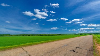 Bahar fotoğrafçılığı, eski asfalt yolu yaşlılıktan çatlamış. Güneşten, rüzgârdan ve soğuktan kahverengi bir tonu var. Ekinler yol kenarında yetişir. Peyzaj cazibesi seyahat gerektirir