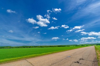 Bahar fotoğrafçılığı, eski asfalt yolu yaşlılıktan çatlamış. Güneşten, rüzgârdan ve soğuktan kahverengi bir tonu var. Ekinler yol kenarında yetişir. Peyzaj cazibesi seyahat gerektirir