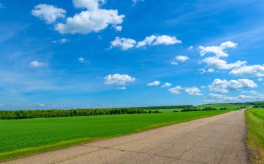 Bahar fotoğrafçılığı, eski asfalt yolu yaşlılıktan çatlamış. Güneşten, rüzgârdan ve soğuktan kahverengi bir tonu var. Ekinler yol kenarında yetişir. Peyzaj cazibesi seyahat gerektirir