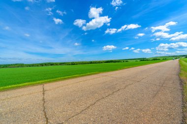 Bahar fotoğrafçılığı, eski asfalt yolu yaşlılıktan çatlamış. Güneşten, rüzgârdan ve soğuktan kahverengi bir tonu var. Ekinler yol kenarında yetişir. Peyzaj cazibesi seyahat gerektirir