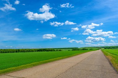 Bahar fotoğrafçılığı, eski asfalt yolu yaşlılıktan çatlamış. Güneşten, rüzgârdan ve soğuktan kahverengi bir tonu var. Ekinler yol kenarında yetişir. Peyzaj cazibesi seyahat gerektirir