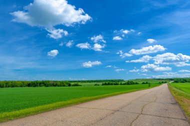 Bahar fotoğrafçılığı, eski asfalt yolu yaşlılıktan çatlamış. Güneşten, rüzgârdan ve soğuktan kahverengi bir tonu var. Ekinler yol kenarında yetişir. Peyzaj cazibesi seyahat gerektirir