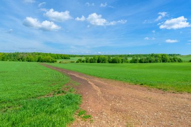 Bahar fotoğrafçılığı, eski asfalt yolu yaşlılıktan çatlamış. Güneşten, rüzgârdan ve soğuktan kahverengi bir tonu var. Ekinler yol kenarında yetişir. Peyzaj cazibesi seyahat gerektirir