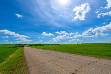 Bahar fotoğrafçılığı, eski asfalt yolu yaşlılıktan çatlamış. Güneşten, rüzgârdan ve soğuktan kahverengi bir tonu var. Ekinler yol kenarında yetişir. Peyzaj cazibesi seyahat gerektirir