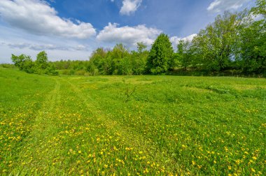 Bahar fotoğrafçılığı, eriyen kar ve yaz yağmurlarından oluşan eski bir vadi. Ceviz, meşe, huş ağacı, dağ külleri ve ıhlamur ormanları kenarlarda yetişir. Beyaz bulutlu parlak, yumuşak gökyüzü