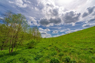 Bahar fotoğrafçılığı, eriyen kar ve yaz yağmurlarından oluşan eski bir vadi. Ceviz, meşe, huş ağacı, dağ külleri ve ıhlamur ormanları kenarlarda yetişir. Beyaz bulutlu parlak, yumuşak gökyüzü