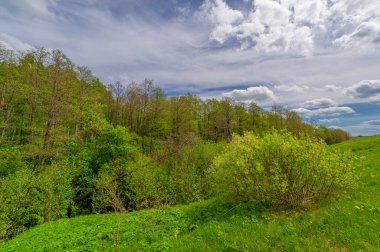 Bahar fotoğrafçılığı, eriyen kar ve yaz yağmurlarından oluşan eski bir vadi. Ceviz, meşe, huş ağacı, dağ külleri ve ıhlamur ormanları kenarlarda yetişir. Beyaz bulutlu parlak, yumuşak gökyüzü