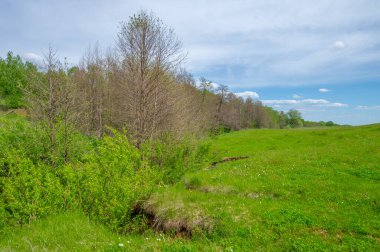 Bahar fotoğrafçılığı, eriyen kar ve yaz yağmurlarından oluşan eski bir vadi. Ceviz, meşe, huş ağacı, dağ külleri ve ıhlamur ormanları kenarlarda yetişir. Beyaz bulutlu parlak, yumuşak gökyüzü