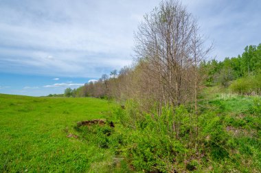 Bahar fotoğrafçılığı, eriyen kar ve yaz yağmurlarından oluşan eski bir vadi. Ceviz, meşe, huş ağacı, dağ külleri ve ıhlamur ormanları kenarlarda yetişir. Beyaz bulutlu parlak, yumuşak gökyüzü