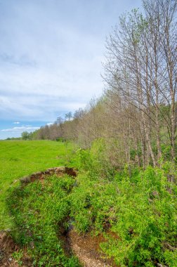 Bahar fotoğrafçılığı, eriyen kar ve yaz yağmurlarından oluşan eski bir vadi. Ceviz, meşe, huş ağacı, dağ külleri ve ıhlamur ormanları kenarlarda yetişir. Beyaz bulutlu parlak, yumuşak gökyüzü