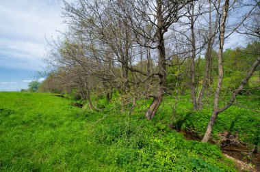 Bahar fotoğrafçılığı, eriyen kar ve yaz yağmurlarından oluşan eski bir vadi. Ceviz, meşe, huş ağacı, dağ külleri ve ıhlamur ormanları kenarlarda yetişir. Beyaz bulutlu parlak, yumuşak gökyüzü