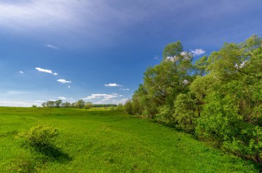 Bahar fotoğrafçılığı, eriyen kar ve yaz yağmurlarından oluşan eski bir vadi. Ceviz, meşe, huş ağacı, dağ külleri ve ıhlamur ormanları kenarlarda yetişir. Beyaz bulutlu parlak, yumuşak gökyüzü