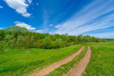 Bahar fotoğrafçılığı, eski toprak yol. Güneşten, rüzgârdan ve soğuktan kahverengi bir tonu var. Ekinler yol kenarında yetişir. Peyzaj cazibesi seyahat gerektirir