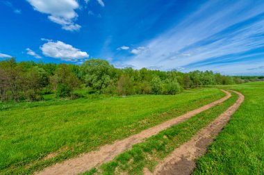 Bahar fotoğrafçılığı, eski toprak yol. Güneşten, rüzgârdan ve soğuktan kahverengi bir tonu var. Ekinler yol kenarında yetişir. Peyzaj cazibesi seyahat gerektirir