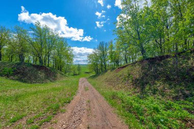 İlkbahar fotoğrafçılığı, tarlalar, çayırlar, ilkbahar güzelliği vadilerin, beyaz kabarık bulutların içindeki muhteşem mavi gökyüzü, dünya kış soğuğundan sonra uyanıyor.