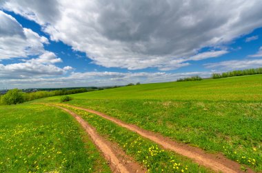 Bahar fotoğrafçılığı, yerel yol, yeşil bir tarlada mısır fideleri, yiyecek için kullanılan tahıllar, örneğin buğday, yulaf veya mısır. Beyaz kabarık bulutlarda mavi gökyüzü