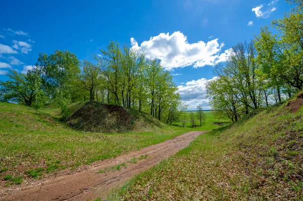 Fotografía Primavera Campos Prados Belleza Primaveral Barrancos Increíble Cielo Azul — Foto de Stock