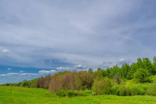 Spring Photography Old Ravine Formed Melting Snow Summer Rains Deciduous — Stock Photo, Image