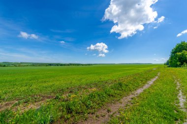 Kış tahılları, ayrıca kış tahılları, güz tahılları veya sonbahar ekili tahıllar olarak da bilinir, sonbaharda ekilen iki yıllık tahıllardır.. 