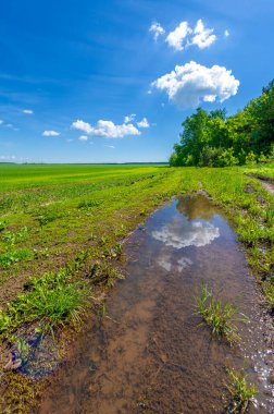 Kış tahılları, ayrıca kış tahılları, güz tahılları veya sonbahar ekili tahıllar olarak da bilinir, sonbaharda ekilen iki yıllık tahıllardır.. 