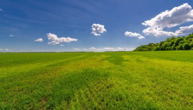 Kış tahılları, ayrıca kış tahılları, güz tahılları veya sonbahar ekili tahıllar olarak da bilinir, sonbaharda ekilen iki yıllık tahıllardır.. 