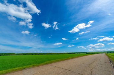 Bahar fotoğrafçılığı, eski asfalt yolu yaşlılıktan çatlamış. Güneşten, rüzgârdan ve soğuktan kahverengi bir tonu var. Ekinler yol kenarında yetişir. Peyzaj cazibesi seyahat gerektirir