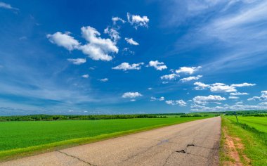 Bahar fotoğrafçılığı, eski asfalt yolu yaşlılıktan çatlamış. Güneşten, rüzgârdan ve soğuktan kahverengi bir tonu var. Ekinler yol kenarında yetişir. Peyzaj cazibesi seyahat gerektirir