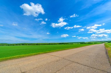 Bahar fotoğrafçılığı, eski asfalt yolu yaşlılıktan çatlamış. Güneşten, rüzgârdan ve soğuktan kahverengi bir tonu var. Ekinler yol kenarında yetişir. Peyzaj cazibesi seyahat gerektirir