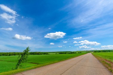 Bahar fotoğrafçılığı, eski asfalt yolu yaşlılıktan çatlamış. Güneşten, rüzgârdan ve soğuktan kahverengi bir tonu var. Ekinler yol kenarında yetişir. Peyzaj cazibesi seyahat gerektirir