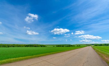 Bahar fotoğrafçılığı, eski asfalt yolu yaşlılıktan çatlamış. Güneşten, rüzgârdan ve soğuktan kahverengi bir tonu var. Ekinler yol kenarında yetişir. Peyzaj cazibesi seyahat gerektirir