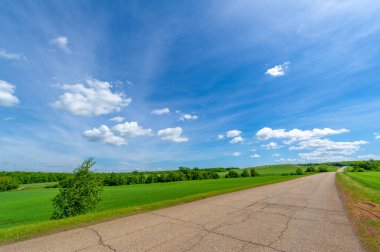 Bahar fotoğrafçılığı, eski asfalt yolu yaşlılıktan çatlamış. Güneşten, rüzgârdan ve soğuktan kahverengi bir tonu var. Ekinler yol kenarında yetişir. Peyzaj cazibesi seyahat gerektirir